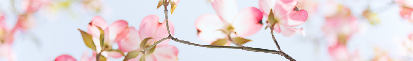 �츮�� ����� ��ȸ�� ��