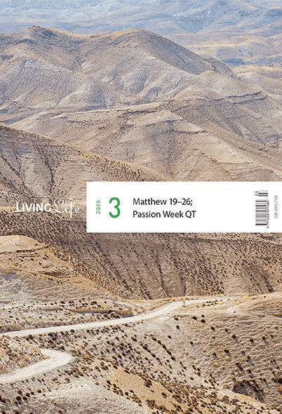 �����ǻ�