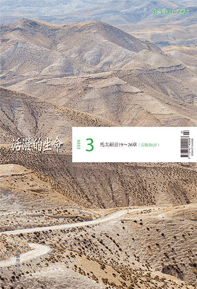 Ȱ���� ����