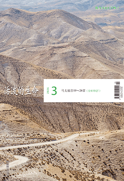 Ȱ���� ����